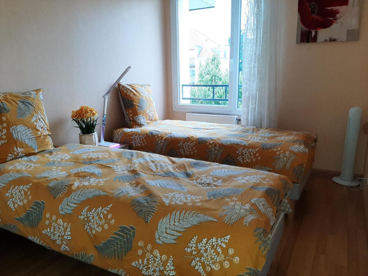 Gite La Houblonniere Standing Et Confort A Colmar Ngoại thất bức ảnh